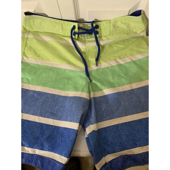 Hollister Striped Board Shorts Men’s Sz M Swimwear Green Blue White - Picture 1 of 4